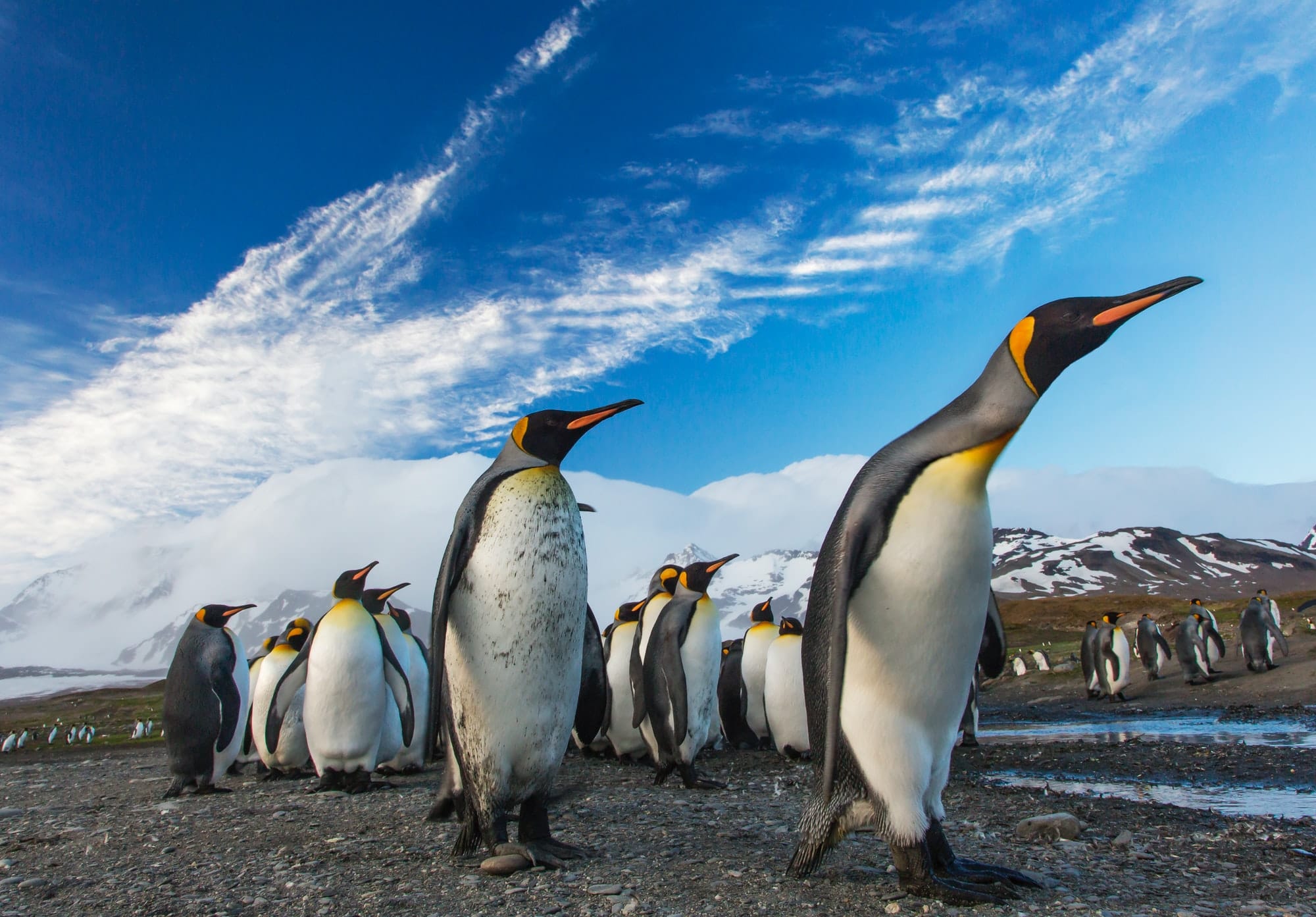 State of Play, Gaming on Linux in the roaring 20's